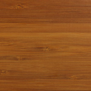 Bamboo